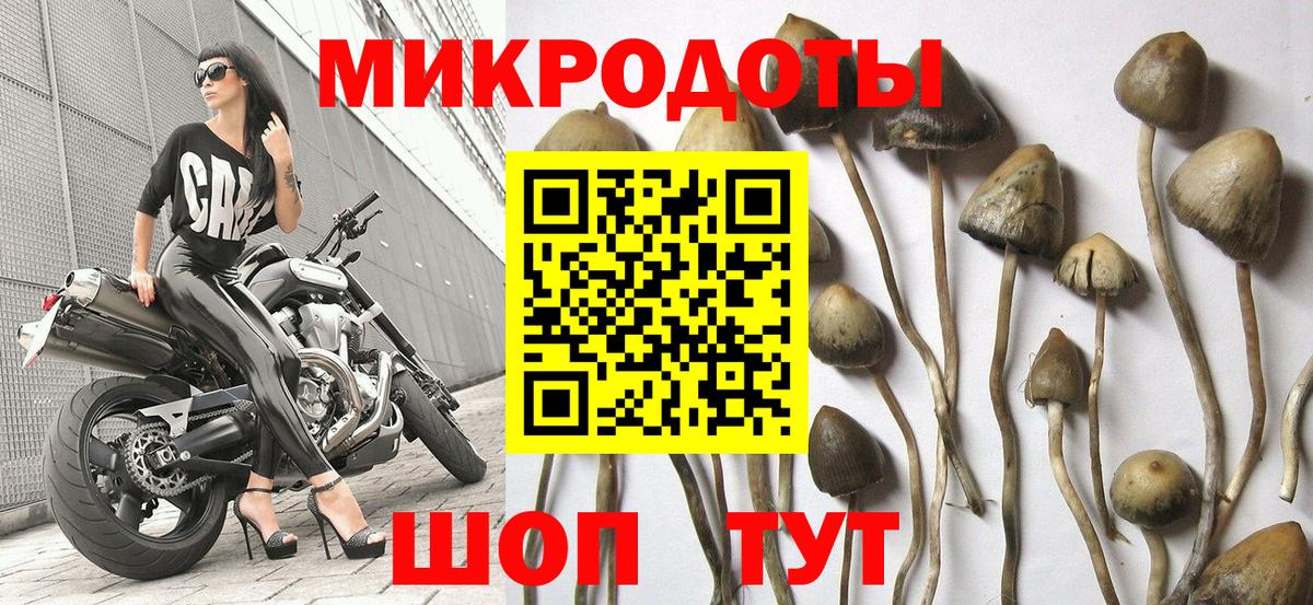 Псилоцибиновые грибы ЛСД  Вход с VPN  Благовещенск 